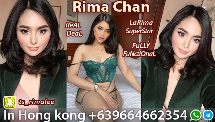 gay bears barcelona from Turner escort shemale tianjin