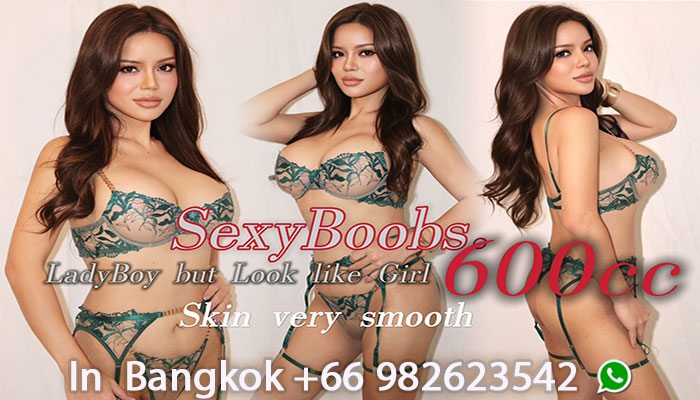 ladyboy escort 