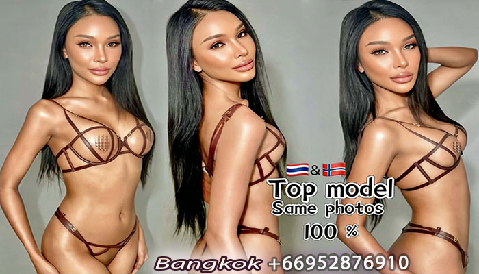 ladyboy escort Sugar Holly