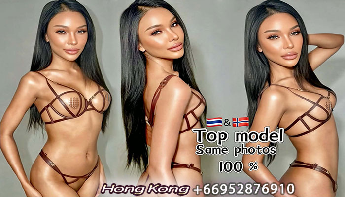 ladyboy escort Sugar Holly