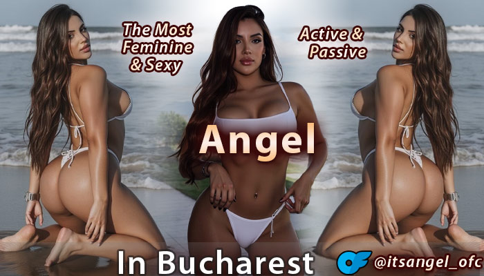 Madisson shemale escort