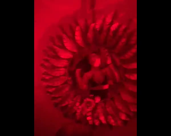 feedvid-DojaCat-9829051  DojaCat feed video
