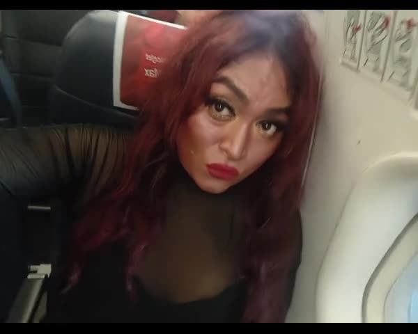 feedvid-Transprinces-7784618  Transprinces feed video