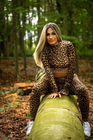 trans girl AFennty 4666899 trans girl AFennty 4666899