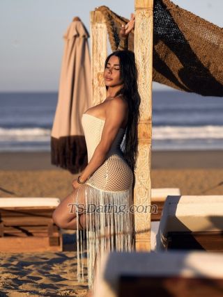 trans girl ARIANAXXL 0739126 trans girl ARIANAXXL 0739126