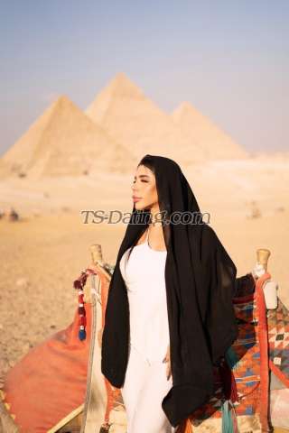 trans girl ARIANAXXL 1868320 trans girl ARIANAXXL 1868320