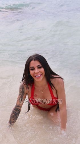 trans girl ARIANAXXL 8398245 trans girl ARIANAXXL 8398245