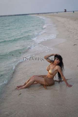 trans girl ArianaKetely 0357568 trans girl ArianaKetely 0357568