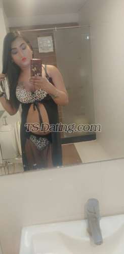 trans girl Aaliya 9241810 trans girl Aaliya 9241810