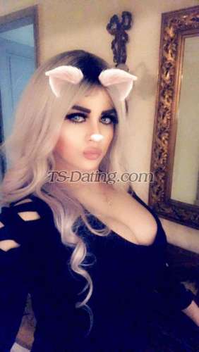 trans girl Aamar 4273647 trans girl Aamar 4273647