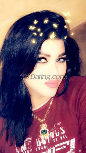 trans girl Aamar 6753733 trans girl Aamar 6753733