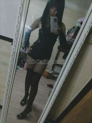 trans girl Abby69 4712668