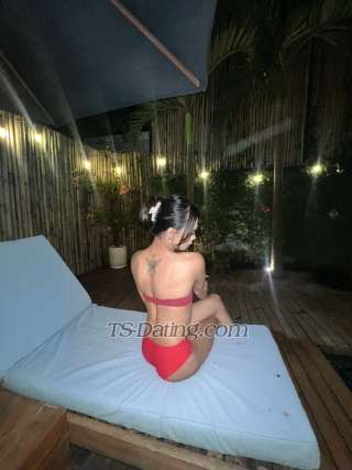 trans girl Acastephanie 9189981 trans girl Acastephanie 9189981