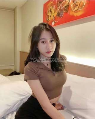 trans girl AgitaMerlien 7329668 trans girl AgitaMerlien 7329668