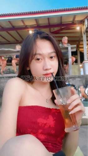 trans girl AgitaMerlien 7329806 trans girl AgitaMerlien 7329806