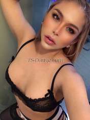 Ahyel Milano Transex 500€ INCALL 1000€ OUTCALL Whatsapp +39 351 4879237 SE CERCHI SESSO GRATIS NON DISTURBARMI VERRAI AUTOMATICAMENTE BLOCCATO QUINDI NON FARMI PERDERE TEMPO❌❌ IL TIMER PER I RIFIUTI VERRÀ BLOCCATO IL COLLEZIONISTA DI IMMAGINI SARÀ BLOCCATO Accompagnatrice transessuale indipendente di alta classe. Se stai cercando le migliori esperienze che la vita ha da offrire, non cercare oltre, hai trovato me! Sono la compagna perfetta, offro un'esperienza genuina, calorosa e molto amichevole, oppure posso essere la tua seducente cortigiana come nei tuoi sogni. La mia sensualità ti sedurrà e il mio senso dell'umorismo e il mio atteggiamento disinvolto verso la vita ti conquisteranno dal momento in cui ci incontreremo. Mi troverai impeccabile e sempre incredibilmente sexy, adatta a tutte le situazioni sociali e private con disinvoltura. E scoprirai anche che il mio atteggiamento è una boccata d'aria fresca... rilassata come il sole esotico stesso... Irradio un calore sincero e la mia voglia di vivere ti conquisterà a vivere ogni momento con passione. Sono la tua ragazza trans a cui puoi dire di essere disponibile per qualsiasi cosa tu voglia fare! Mi piacerebbe sperimentare cose nuove. Sono sicura che il mio partner apprezzerà la mia compagnia. P.S. le grandi cose della vita non sono a buon mercato, non aspettarti che io lo sia 