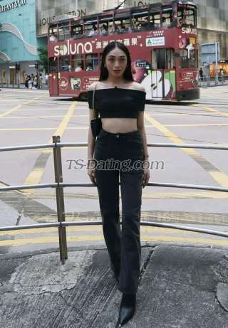 trans girl Albaxoxo 7795219 trans girl Albaxoxo 7795219