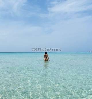 trans girl Aleja 6136415 trans girl Aleja 6136415