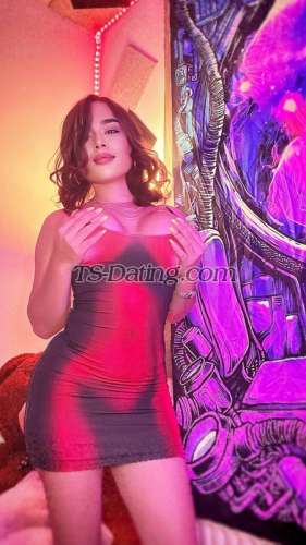 trans girl Alejandrasex 9255093 trans girl Alejandrasex 9255093