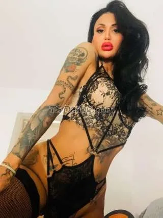 Shemale Alenogueira 5811597 Shemale Alenogueira 5811597