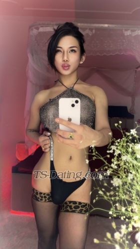 trans girl AliKettyWeni 1699099