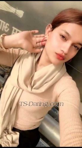 trans girl AliaAlia 8214325 trans girl AliaAlia 8214325