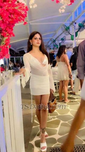 trans girl Aliarawat 7063164 trans girl Aliarawat 7063164