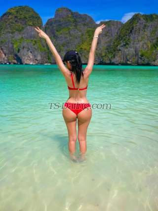 trans girl Alice19 6417177 trans girl Alice19 6417177