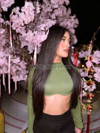 trans girl AliceValentina 7844201 trans girl AliceValentina 7844201