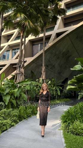 trans girl Alicearaya 1571326 trans girl Alicearaya 1571326