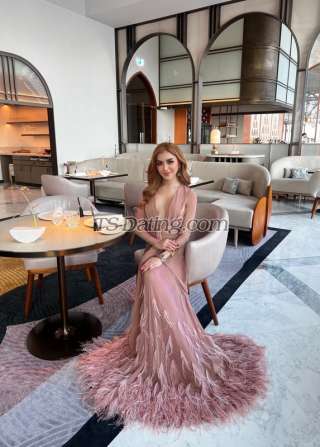 trans girl Alicearaya 1606691 trans girl Alicearaya 1606691