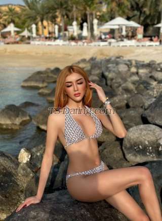 trans girl Alicearaya 3376434 trans girl Alicearaya 3376434