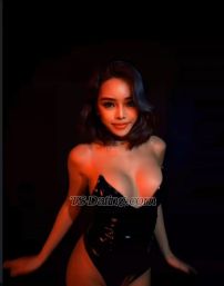 Alicemooksi Kuala Lumpur Transex HELLO EVERYONE.  MY Name is MOOKSIKA AM 25old
💃🏻💃🏻💃🏻💃🏻💃🏻Hi. I’m
ALICE MOOKSI ,NICE, CLASSY, WELL-MANNERED COURTESAN WHO
PROVIDES DISCREET COMPANIONSHIP FOR THOSE WHO APPRECIATE
FINER THINGS IN LIFE.I ‘M INDEPENDENT ESCORT WHO
GIVES PLEASURE WITH GOOD QUALITY SERVICE, IF U ARE LOOKING
FOR SOMEONE WHO CAN SATISFY YOUR DEEP SEXUAL PLEASURE, YOU
FOUND A PERFECT ONE, TOP/BOTTOM (I CAN BE EVERYTHING) i'll
guarantee that you won't regret having me in bed. I
will turn your wildest fantasy into
reality🍑🍑🍑🍑I CAN ALSO ACCOMPANY YOU TO
ANY EVENTS.. SUPER FEMININE TS YET FULLY FUNCTIONAL. IF YOU
ARE READY FOR THE BEST EXPERIENCE JUST MESSAGE ME. 'WHAT YOU
SEE IS WHAT YOU GET'     SELF DESCRIPTION:
🔑I CAN DO WHATEVER YOU WANT ME TO DO.
🔑I CAN BE WHATEVER YOU WANT ME TO BE.      
👊🏼Saya tidak bercakap dengan orang yang tidak berada
di kawasan tempat saya berada pada masa itu. Membazir
masa.     ✌🏻SERVICE 🫆deepthroat/
sucking 🫆threesome 🫆roleplay 🫆open
minded 🫆deep frenchkiss 🫆sissy/feminization
🫆giving and receiving rimming 🫆fucking
top/bottom 🫆cum on face and body🫦🫆creamy
cum 🫆girlfriend experience 🫆sensual oil
massage 🫆dating 🫆travel companionship
🫆golden shower                         
Telegram =@ladyboy_aliceX =
@aliceza_6️⃣9️⃣WeChat:
alice_six9️⃣