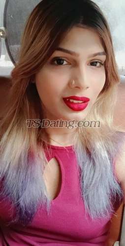 trans girl AlinaId 3486164 trans girl AlinaId 3486164