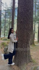 Alina baby Navi Mumbai Transex 💄HELLO GENTELMEN💄
RELAX YOUR SELF WITH A VERY UNIQUE AND SEXY WAY💃

💅ALINA SHAIKH HERE 💅
👑TEENAGER MUSLIM BEAUTY👑
👉I CAN BE YOUR SWEET AND HOTTEST LOVER WITH WHOM YOU CAN GO ON LONG DRIVE OR A DINNER DATE 

👉I PROVIDE ALL MY SERVICES AT MY FLAT IN A SAFE SOCIETY (NERUL) NAVI MUMBAI
❤WANT TO EXPERIENCE HEVEN❤

YOUR WAIT END HERE😍

I HAVE A PREETY SOFT SKIN AND A AMAZING BOUNCY ASS FOR YOU TO PLAY


😘 TRY ME 😘

👉🏾 I AM SURE TIME AND MONEY YOU WILL SPEND ON ME WON'T BE WASTED

I Provide The Following Services

👠BLOW JOB

👠MOUTH FUCK

👠DEEP THROAT

👠PASSIONATE FOREPLAY

👠ASS FINGERING

👠ASS FUCKING

👠ROLE PLAY

👠CD SESSION

(WITH ALL SAFETY)

MY DONATIONS FOR THE FOLLOWING SERVICES

ROLE PLAY BEST IN SALES GIRL


PEOPLE WHO IS JUST LOOKING FOR TIMEPASS PLEASE STAY AWAY FOR MY PROFILE🚫

No Unnecessary watsapp calling🚫

💯Geniun


Call or msg me for more details

BE DECENT AND POLITE WHILE CALLING

MENTION TS WHILE CALING