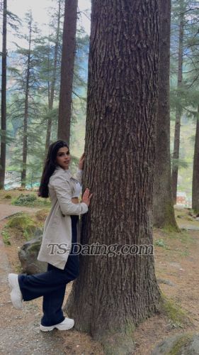 trans girl Alinababy 6172419