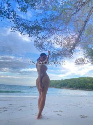 trans girl AlisaFoxy 4081887 trans girl AlisaFoxy 4081887