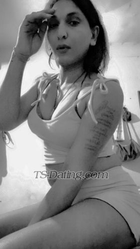 trans girl Alisha25 2479499 trans girl Alisha25 2479499
