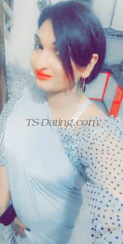 trans girl Alisha25 3497058