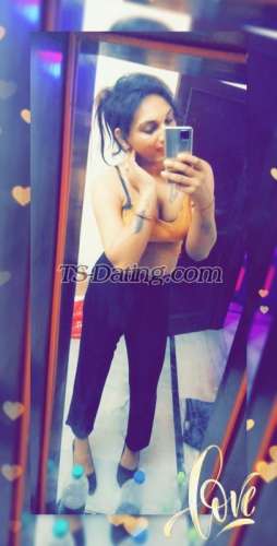 trans girl Alisha25 3503284