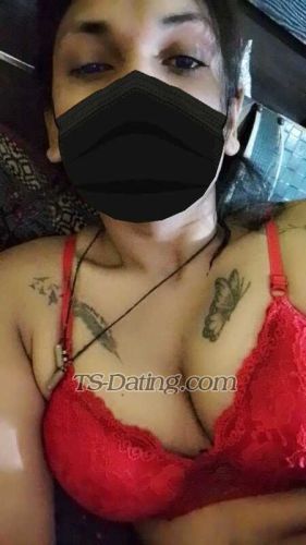 trans girl Alisha25 3752464 trans girl Alisha25 3752464