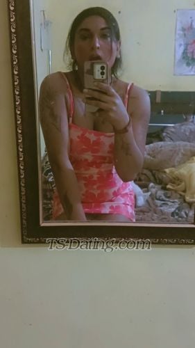 trans girl Alisha25 7092862