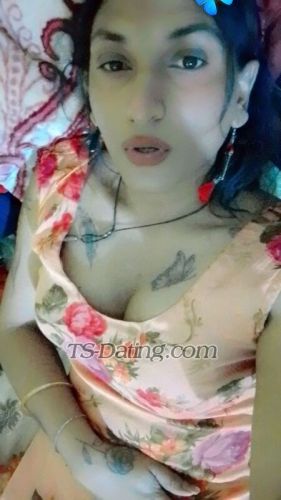 trans girl Alisha25 7906191 trans girl Alisha25 7906191