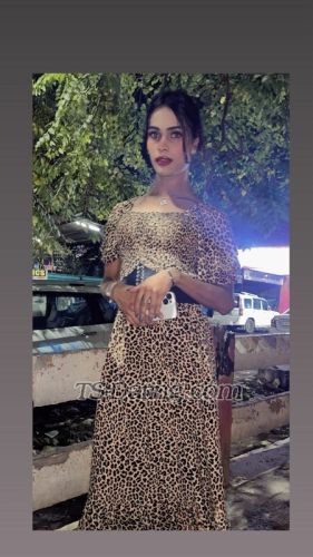 trans girl Alishu01 0563911 trans girl Alishu01 0563911