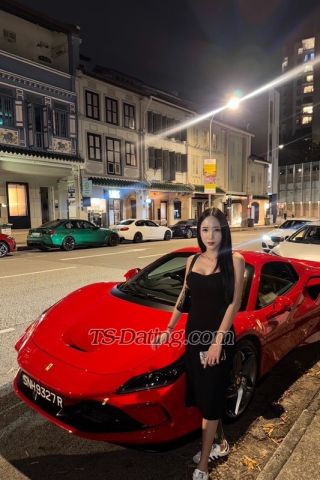 trans girl Allmily 6186580 trans girl Allmily 6186580