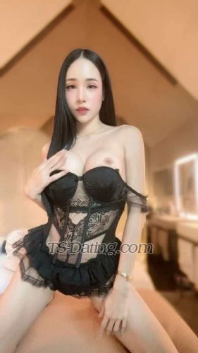 trans girl Allmily 6186657 trans girl Allmily 6186657