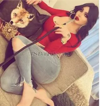 Almohra25 2636381 Almohra25 2636381