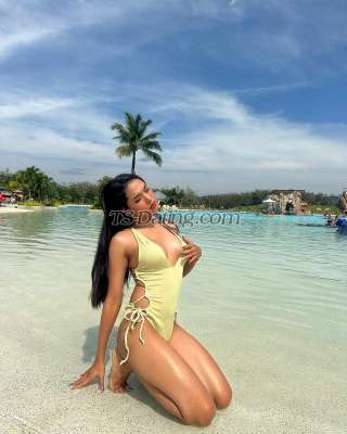 trans girl Amanda27 2231277 trans girl Amanda27 2231277