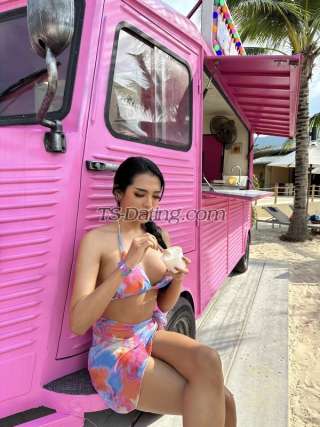 trans girl Amanda27 5904635 trans girl Amanda27 5904635