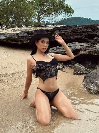 trans girl Amanda27 8917238 trans girl Amanda27 8917238